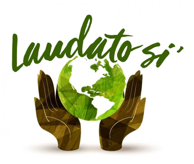 Lire la suite à propos de l’article Colloque Laudato si