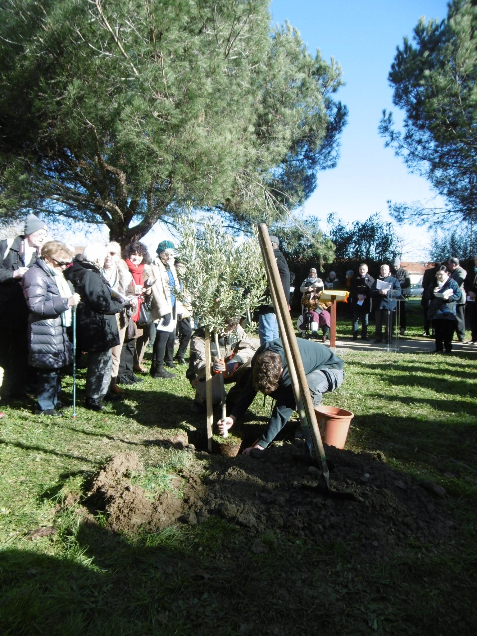 Lire la suite à propos de l’article À Tarbes, un arbre symbole de la fraternité